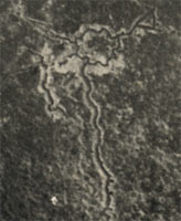 D&eacute;tail de la Vue a&eacute;rienne de la destruction en 3 phase d'une tranch&eacute;e en juin 1917