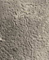 D&eacute;tail de la Vue a&eacute;rienne de la destruction en 3 phase d'une tranch&eacute;e en ao&ucirc;t 1917