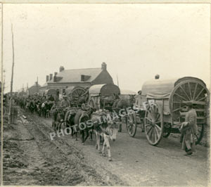 Photo d'un convoi de chevaux
    tirant des chariots qui croise un train d'ânes pendant la guerre de 1914-1918 à Ham dans la Somme