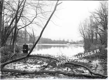 L'arbre couché de l'étang à Saint-Cucufat en photo ancienne