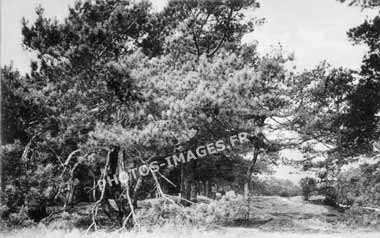 Fontainebleau sur une photo ancienne