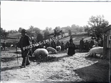 L'ancienne foire aux cochons en 1910