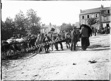 Ancienne foire aux bestiaux à Guéret en 1910