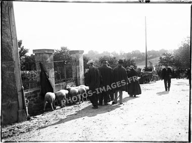 L'ancienne foire aux moutons