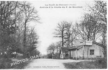Ancienne photo de la fôret de Mervent sur une carte postale de 1900