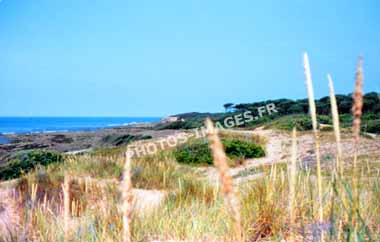 Ancienne photo de la côte et des dunes sur une diapo de Jard-sur-Mer en 1960