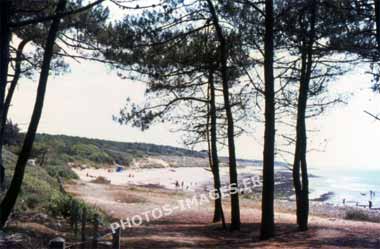 Ancienne photo de la plage de Ragounite à Jard-sur-Mer sur une diapo en 1960