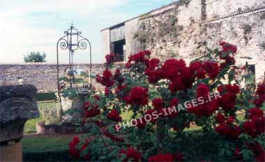 Ancienne photo du puit de l'abbaye de Lieu-Dieu sur une diapo de 1960