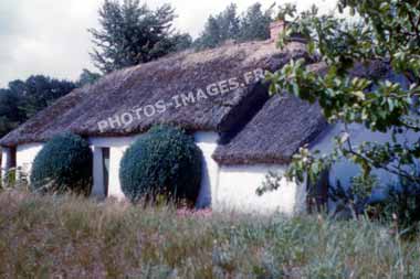 Ancienne photo d'une bourrine vendéenne sur une diapo de 1960