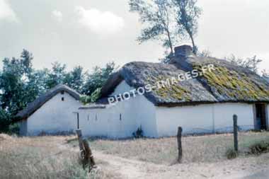 Ancienne photo d'une bourrine vendéenne sur une diapo de 1960