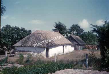 Ancienne photo d'une bourrine vendéenne sur une diapo de 1960