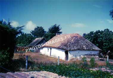 Ancienne photo d'une bourrine vendéenne sur une diapo de 1960