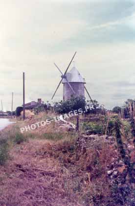 Ancienne photo du moulin de Sainte-Radegonde-des-Noyers sur une diapo de 1960