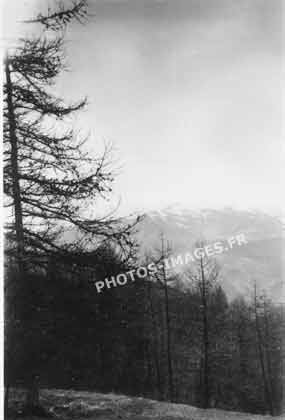 Photo ancienne du paysage vu de Valberg